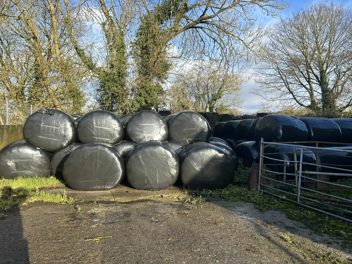 Silage Bales - Image 3