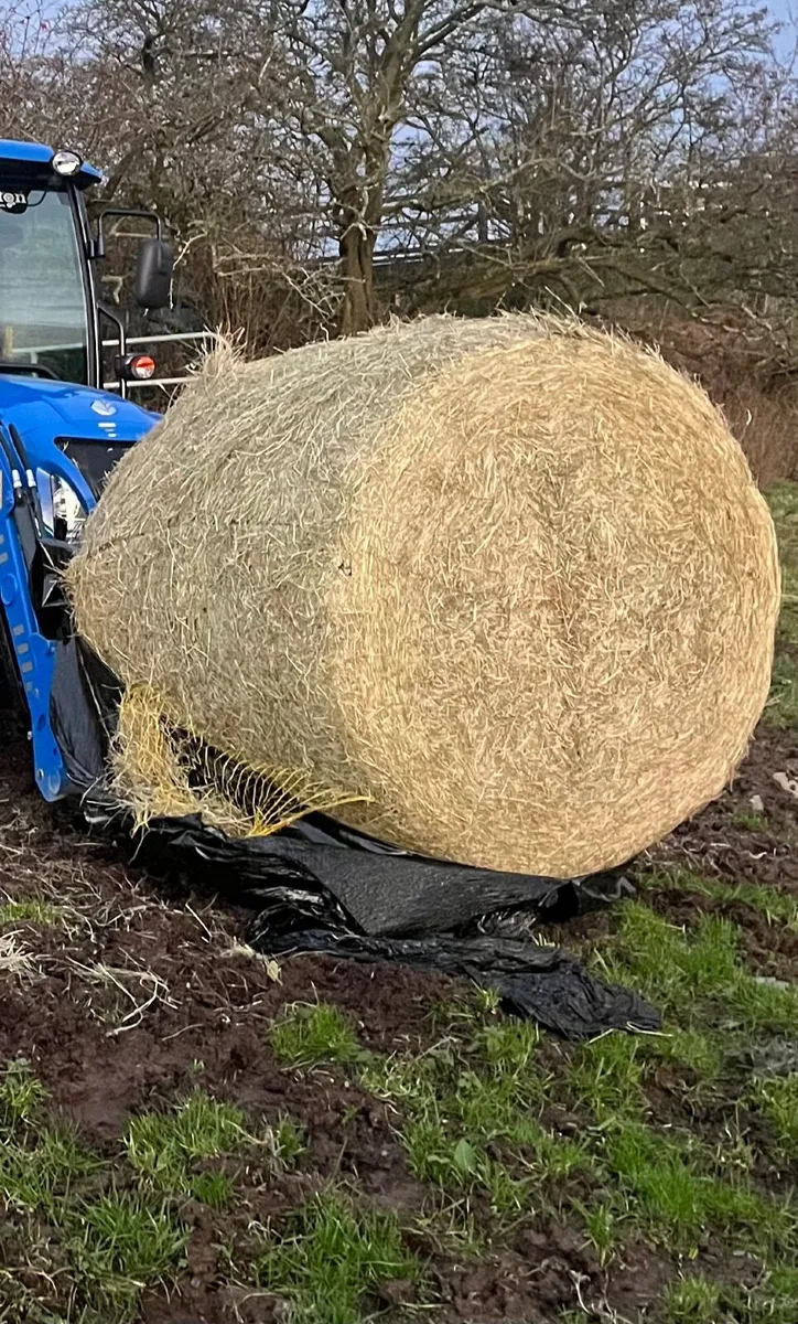 Haylage for sale