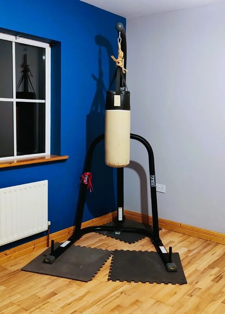 Everlast Boxing Stand & 12kg Boxing Bag-Price Drop - Image 1