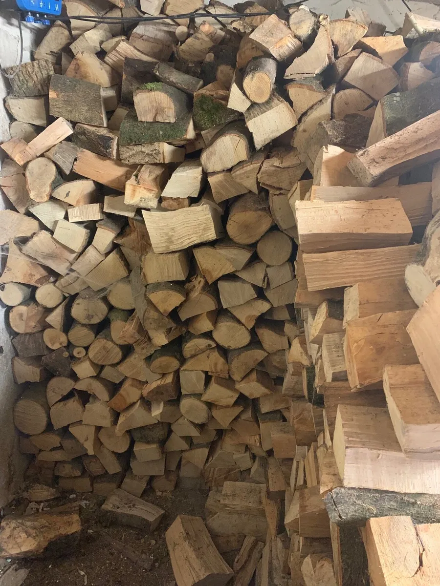 Firewood - Image 1