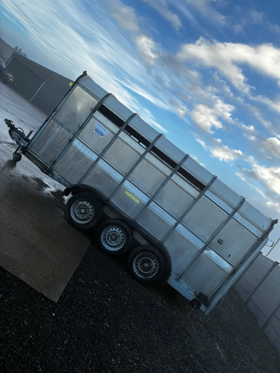 14ft ifor Williams livestock with decks - Image 1