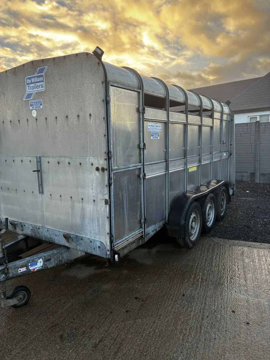 14ft ifor Williams livestock with decks - Image 3