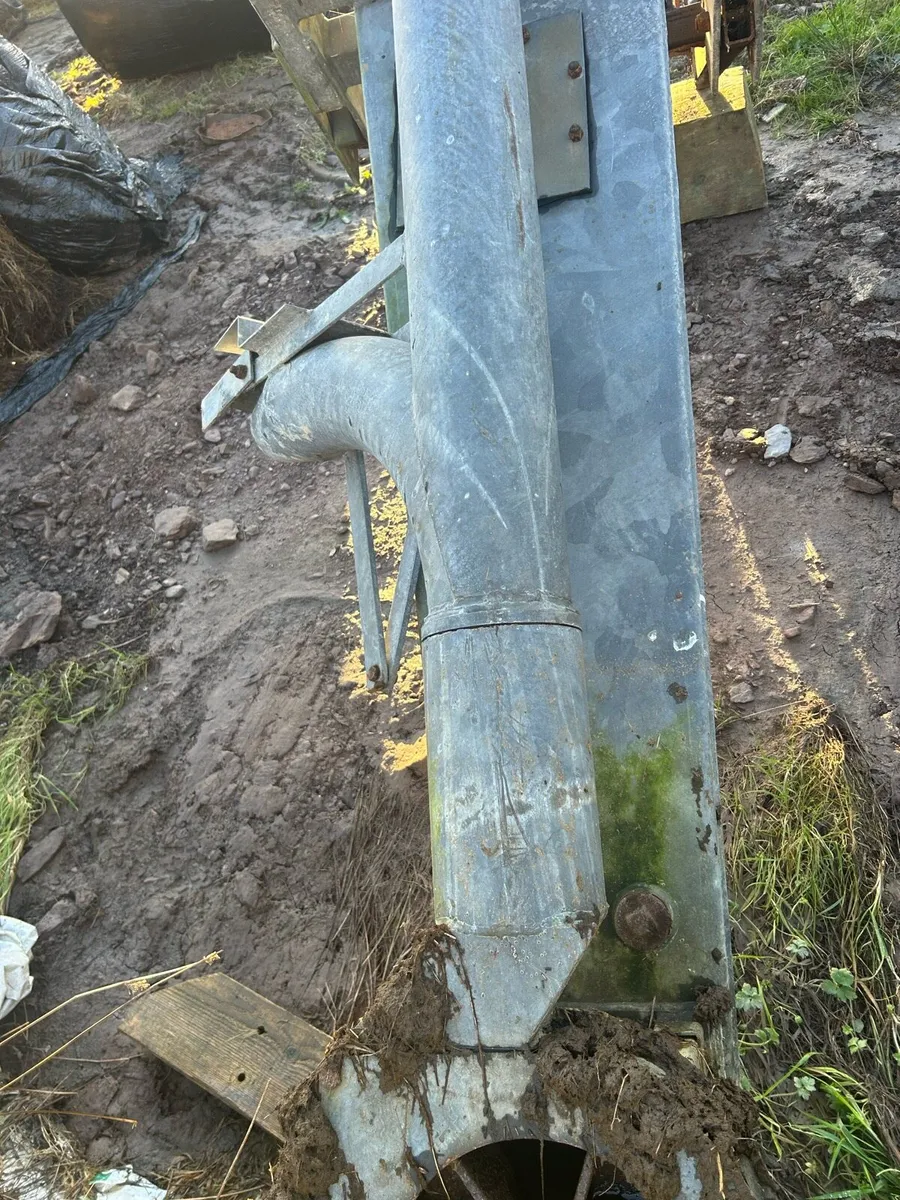 Major adjatator - Image 4