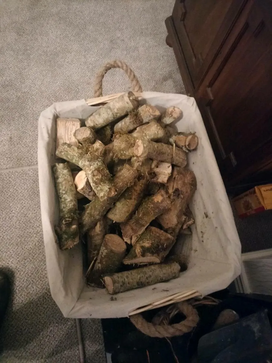 firewood for sale - Image 1