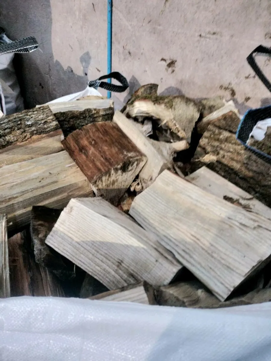 firewood for sale - Image 2