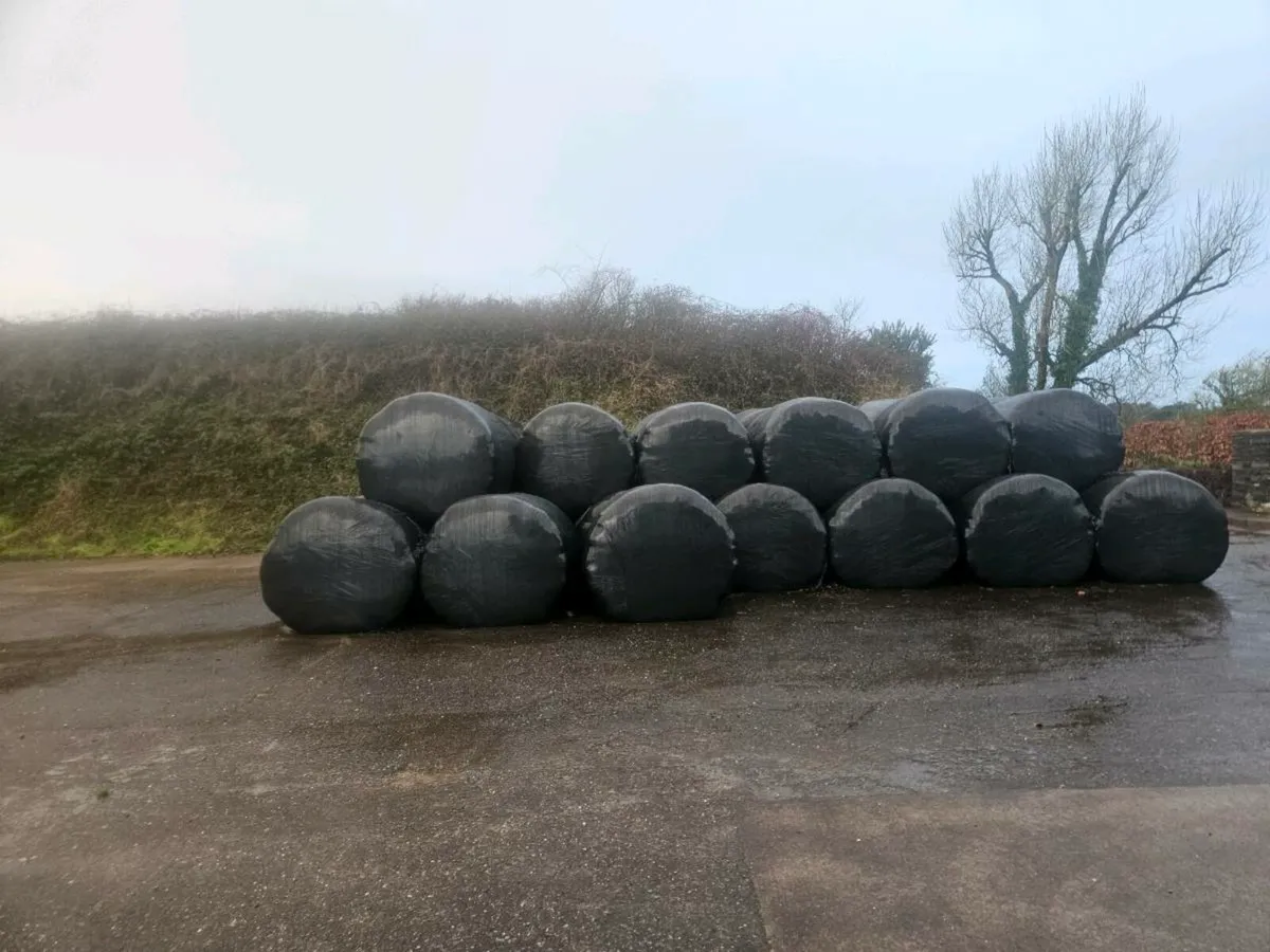 Silage  bales - Image 1