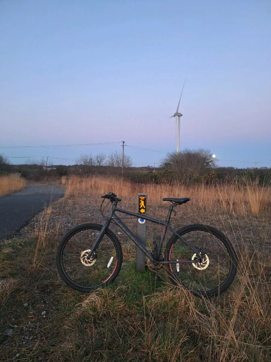 Hybrid Bike Medium - Image 3