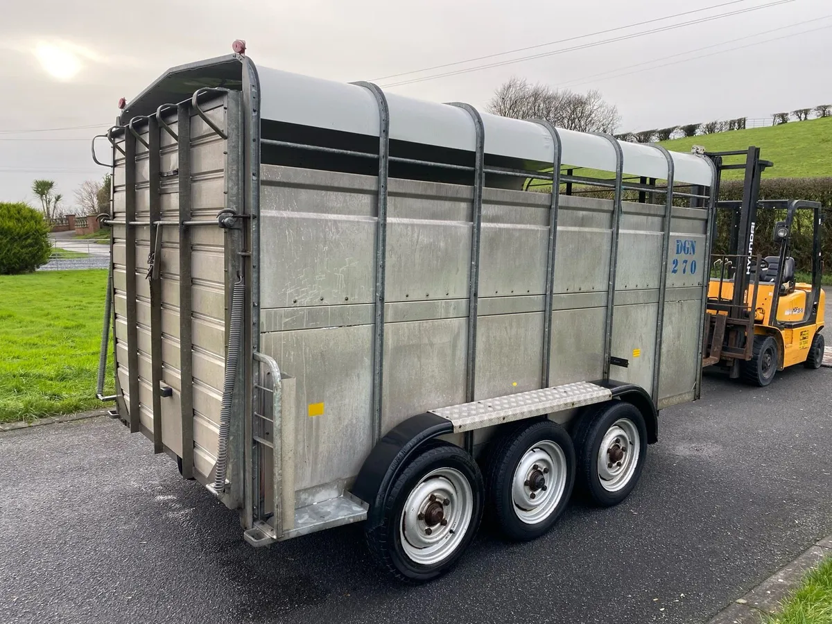 2008 Hudson (12x6) Tri-Axle Livestock Trailer - Image 3