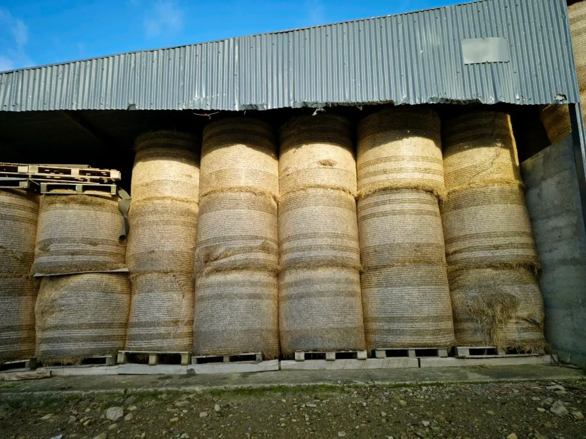 Round bales of hay for sale - Image 1