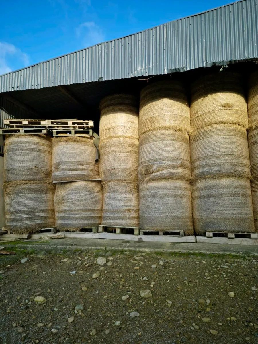 Round bales of hay for sale - Image 4