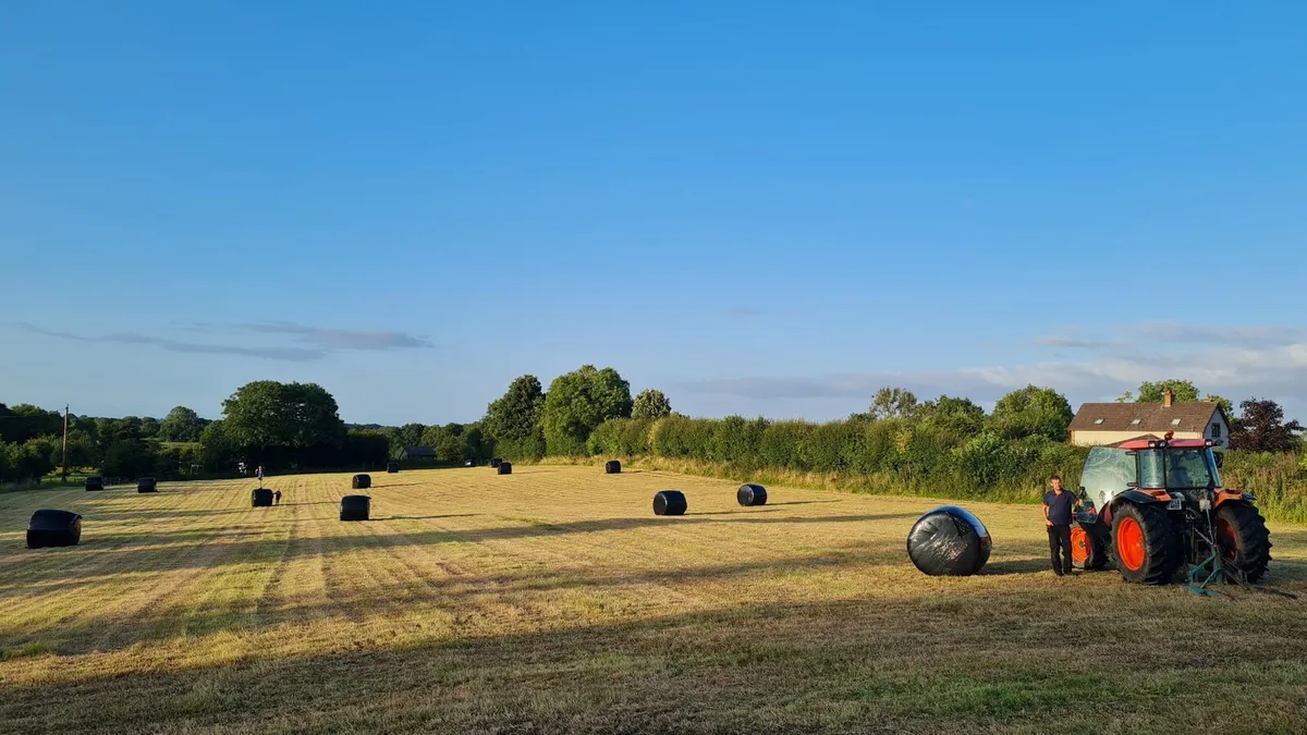 Silage bales - Image 1