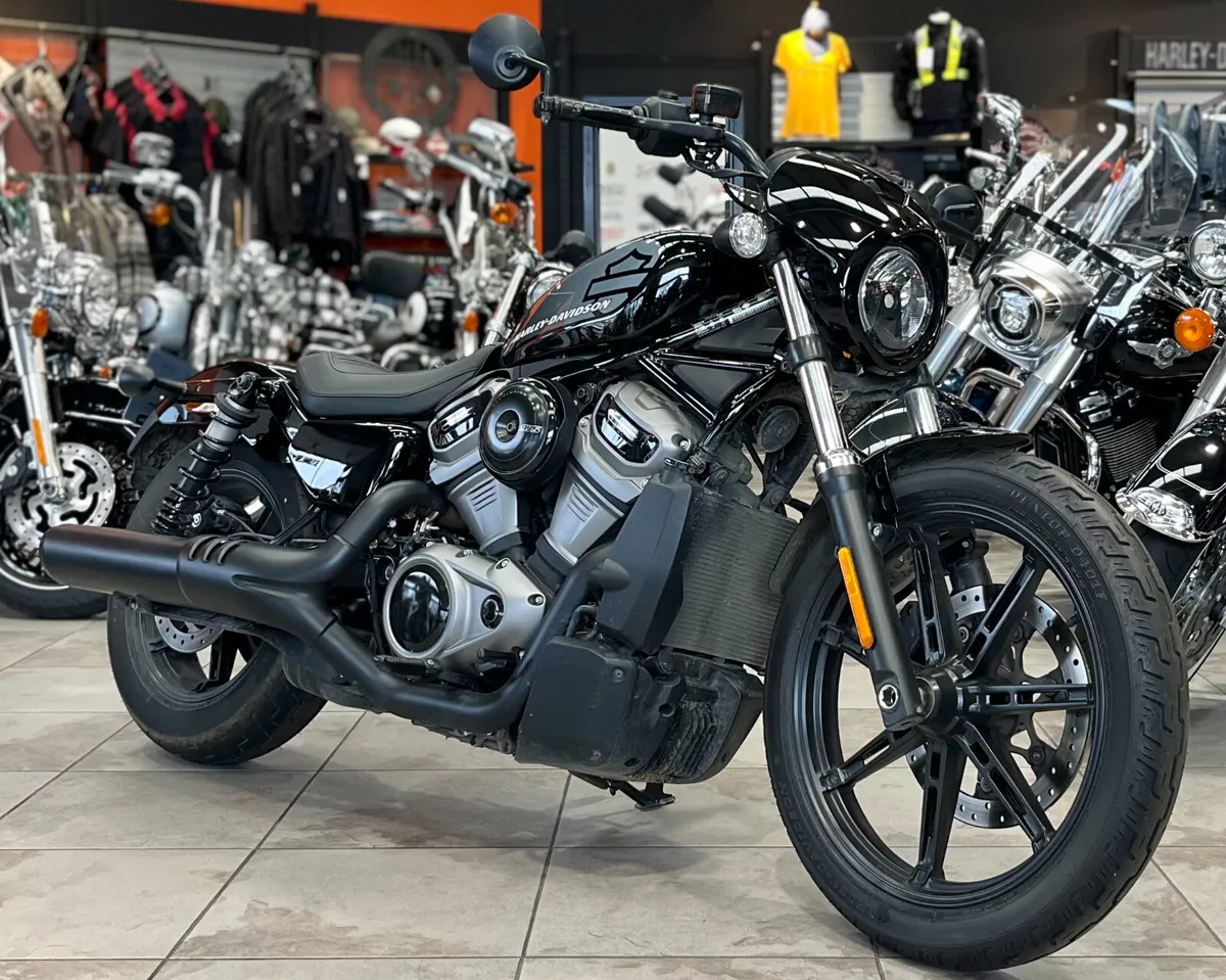 HARLEY-DAVIDSON NIGHTSTER 975 - Image 2