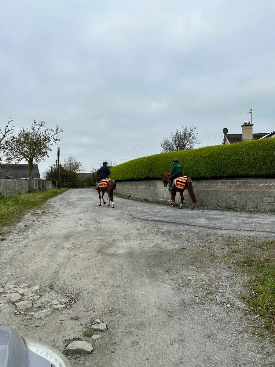 Breaking & Training - Image 1