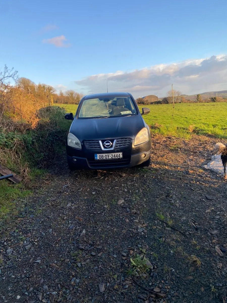 qashqais for breaking - Image 3