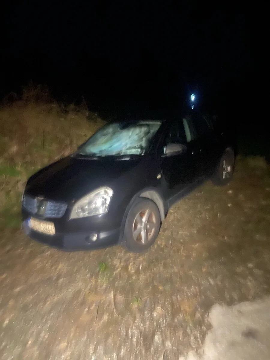 qashqais for breaking - Image 4