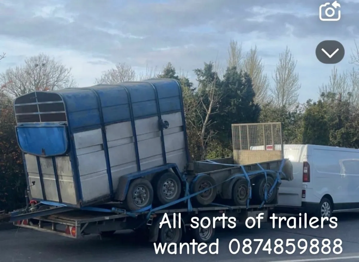 All sorts trailers wanted - Image 2