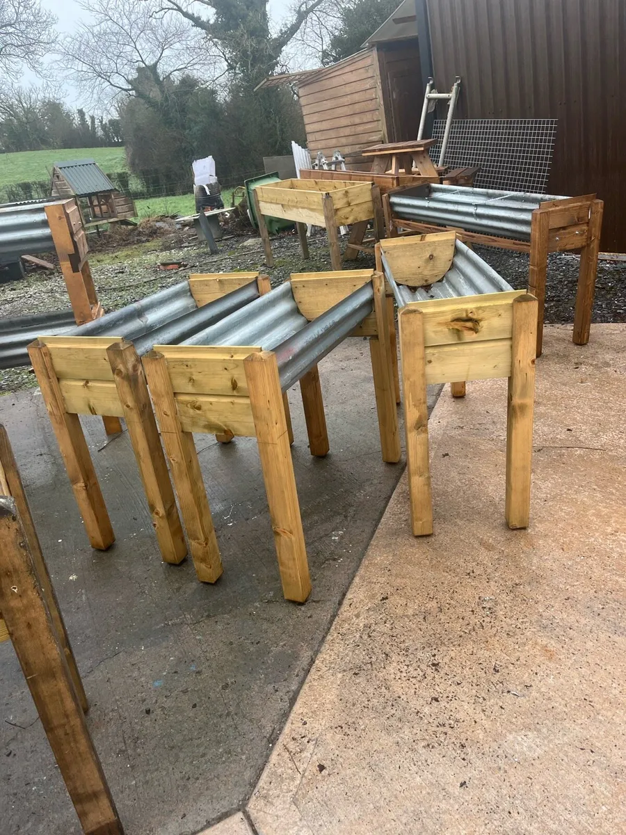 Raised beds bird feeders and cast iron benches - Image 4
