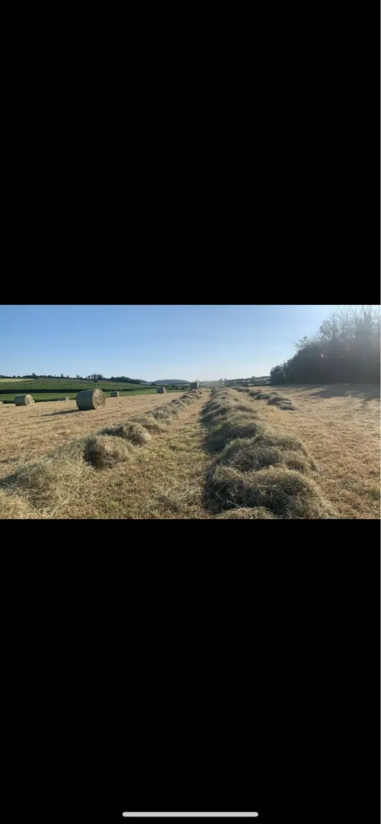 ** Hay ** - Image 2