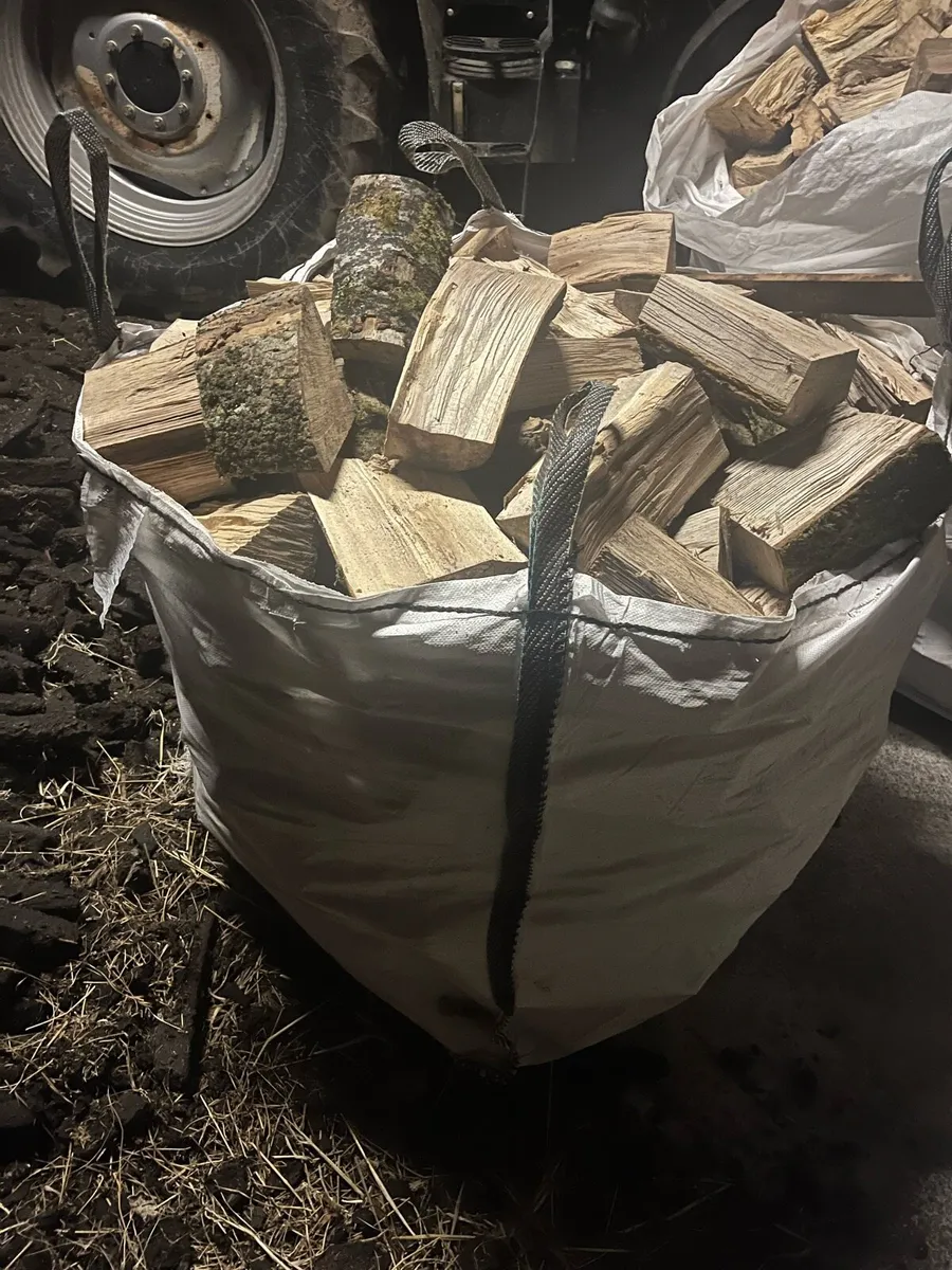 Firewood - Image 1