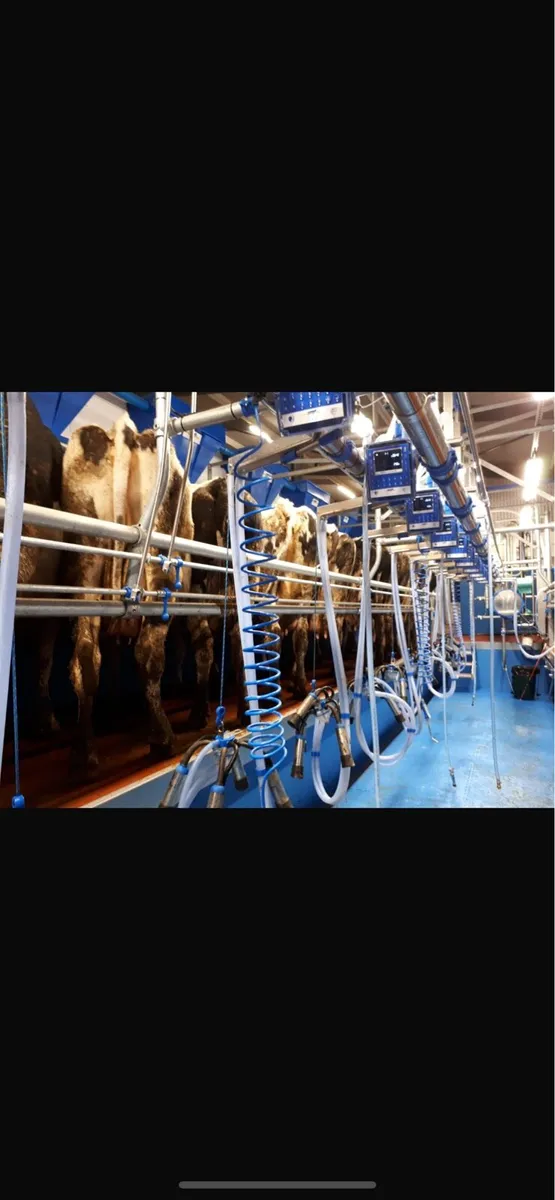 Dairy Farm Hand (Feb - May)