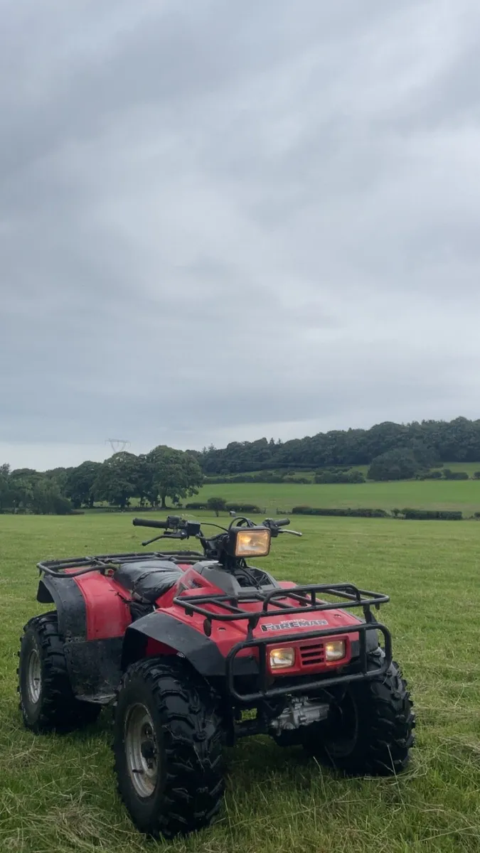 Honda Foreman 350 - Image 2