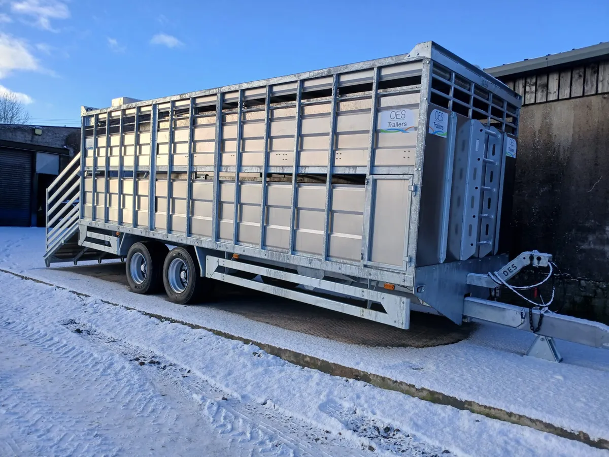 New 24 Ft OES cattle trailer - Image 2