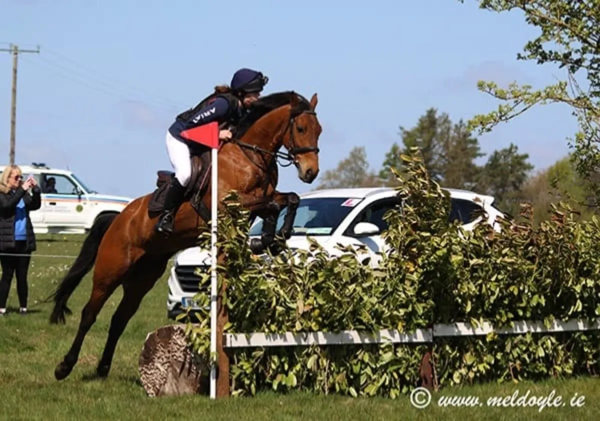 15.2 all rounder - Image 1