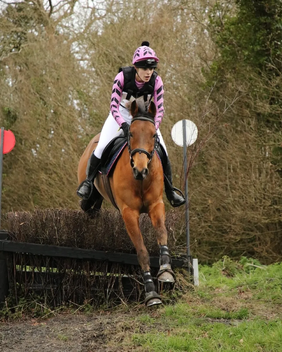 15.2 all rounder - Image 2