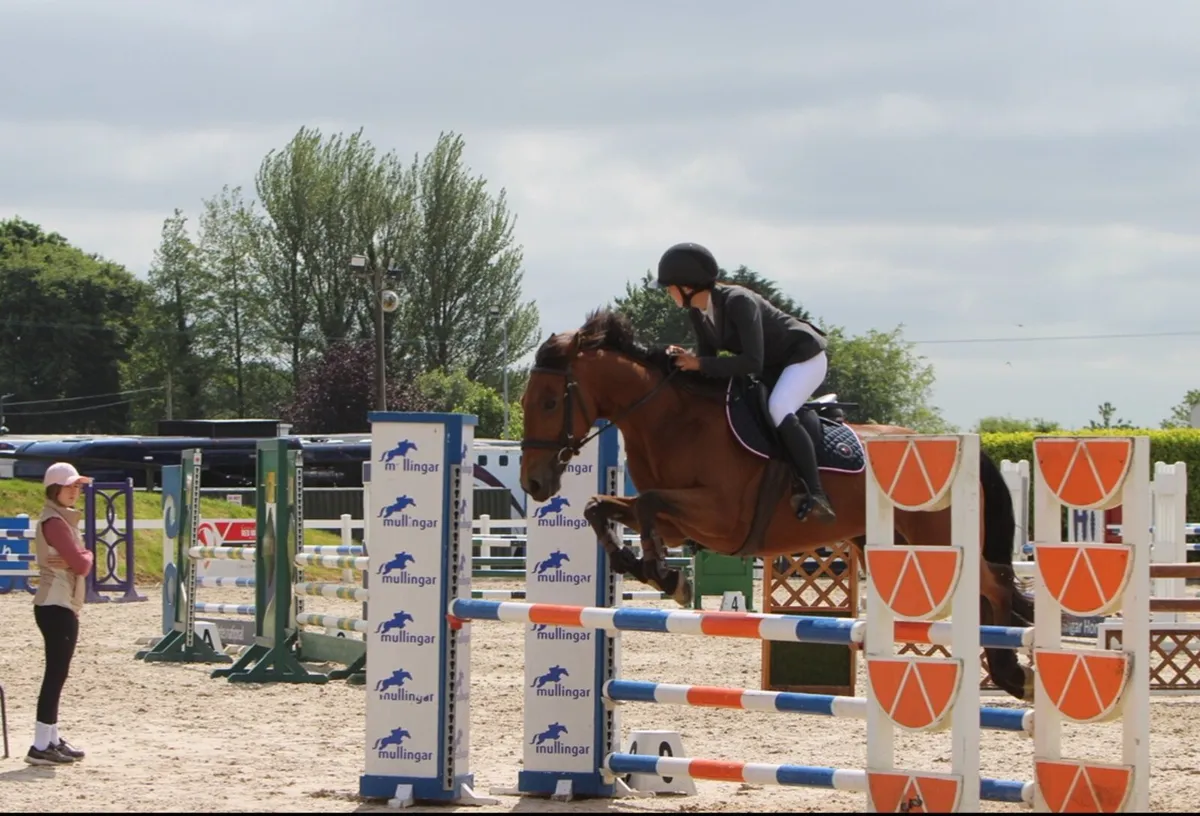 15.2 all rounder - Image 4