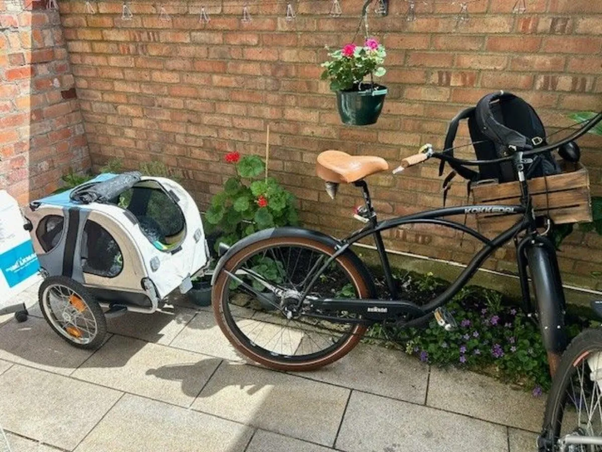 Polish built Kokkedal LumberJack Beach Cruiser - Image 4