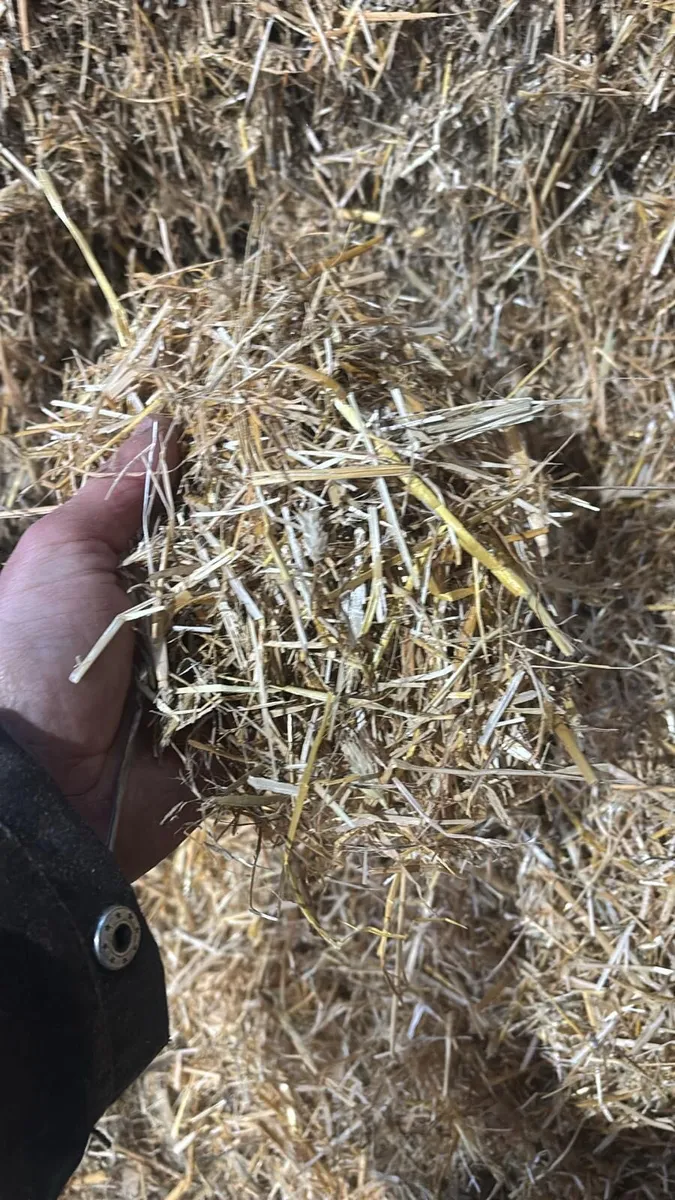 Chopping Straw - Image 3