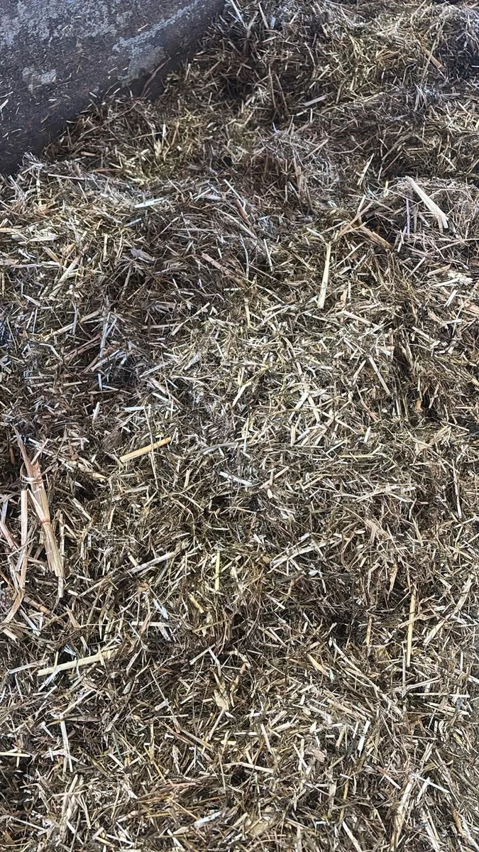 Chopping Straw - Image 4