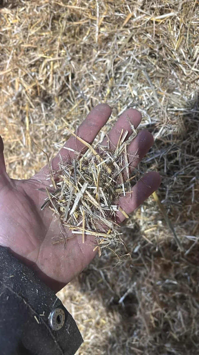 Chopping Straw - Image 1
