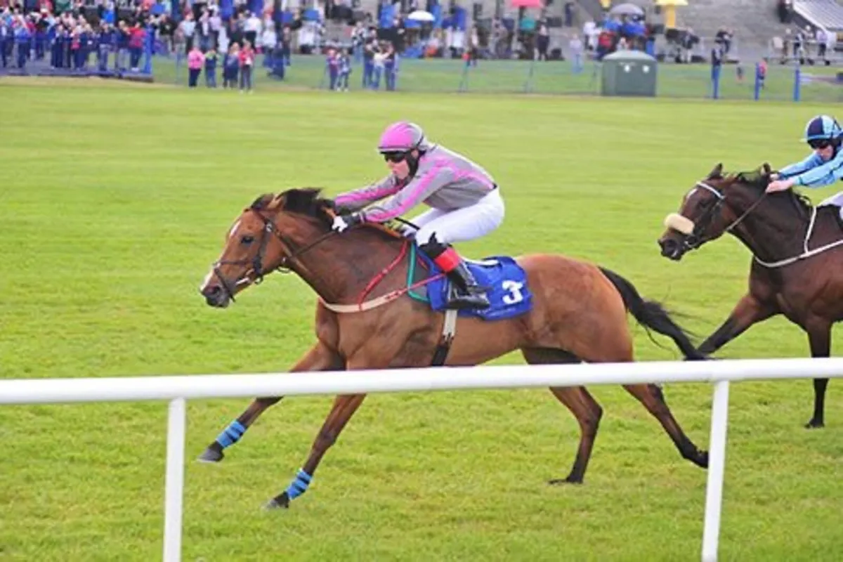 7 time winning broodmare - Image 3