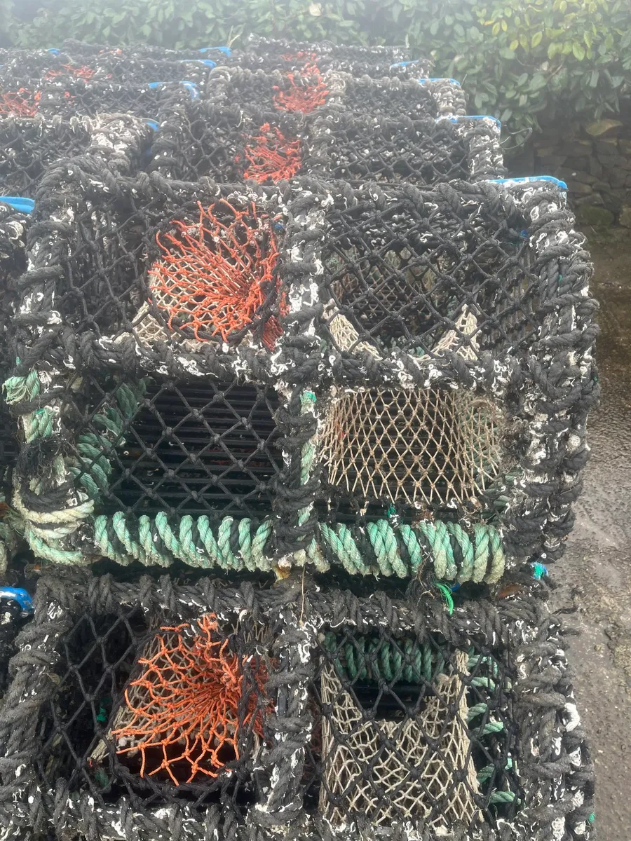 100 pots for sale - Image 1