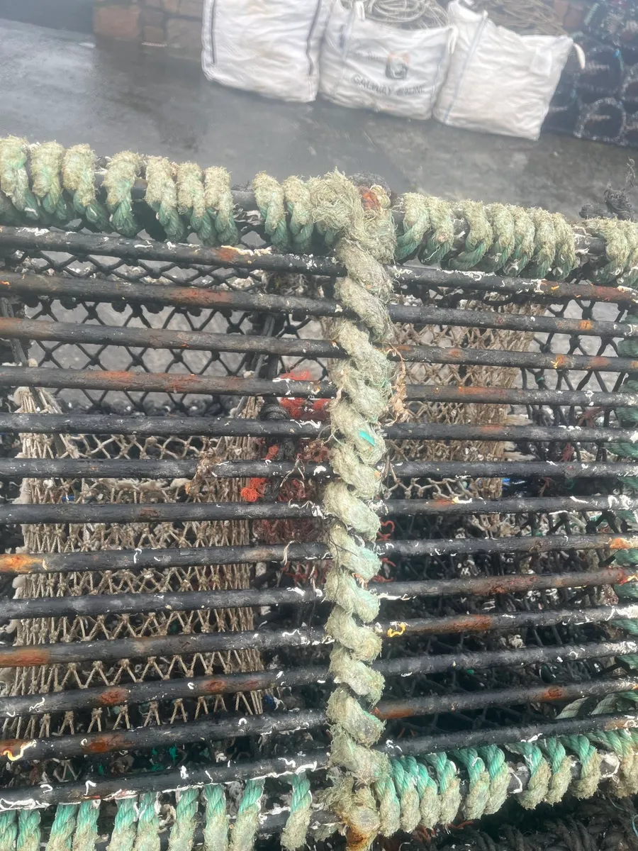 100 pots for sale - Image 2