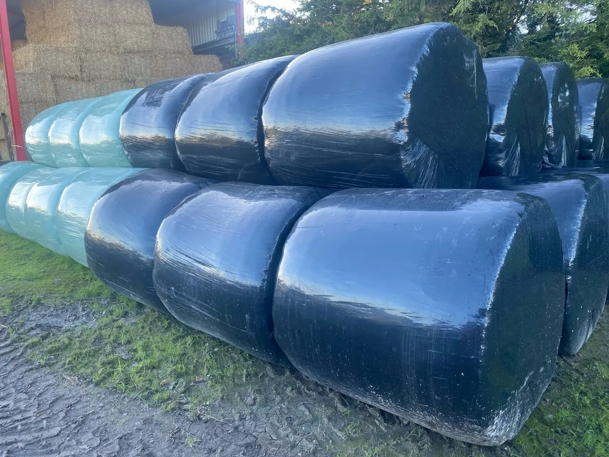 Silage