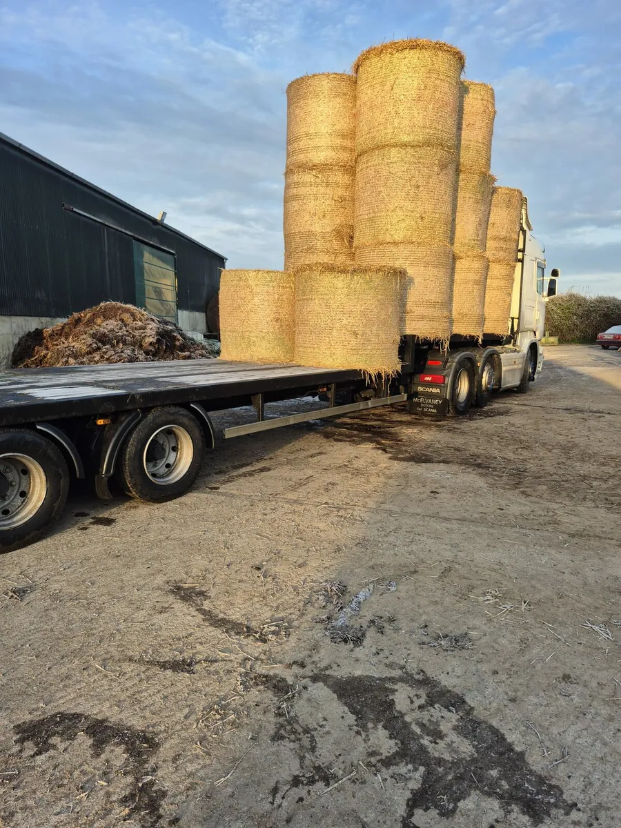 Straw for sale - Image 2