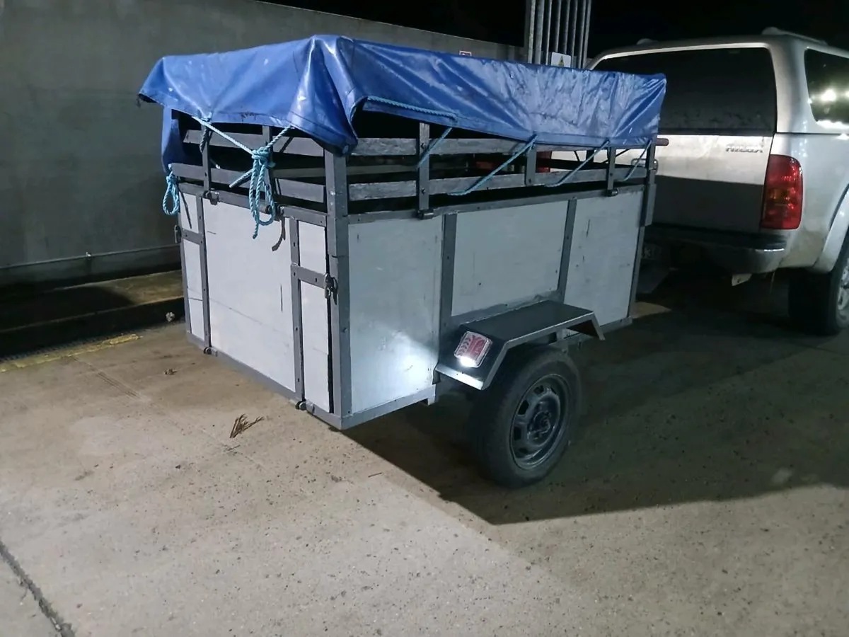 Car trailer fold down side and Canopy ramps - Image 2