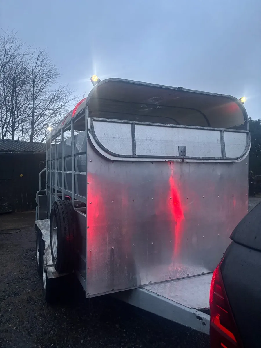 10 foot Dyna power cattle trailer - Image 1