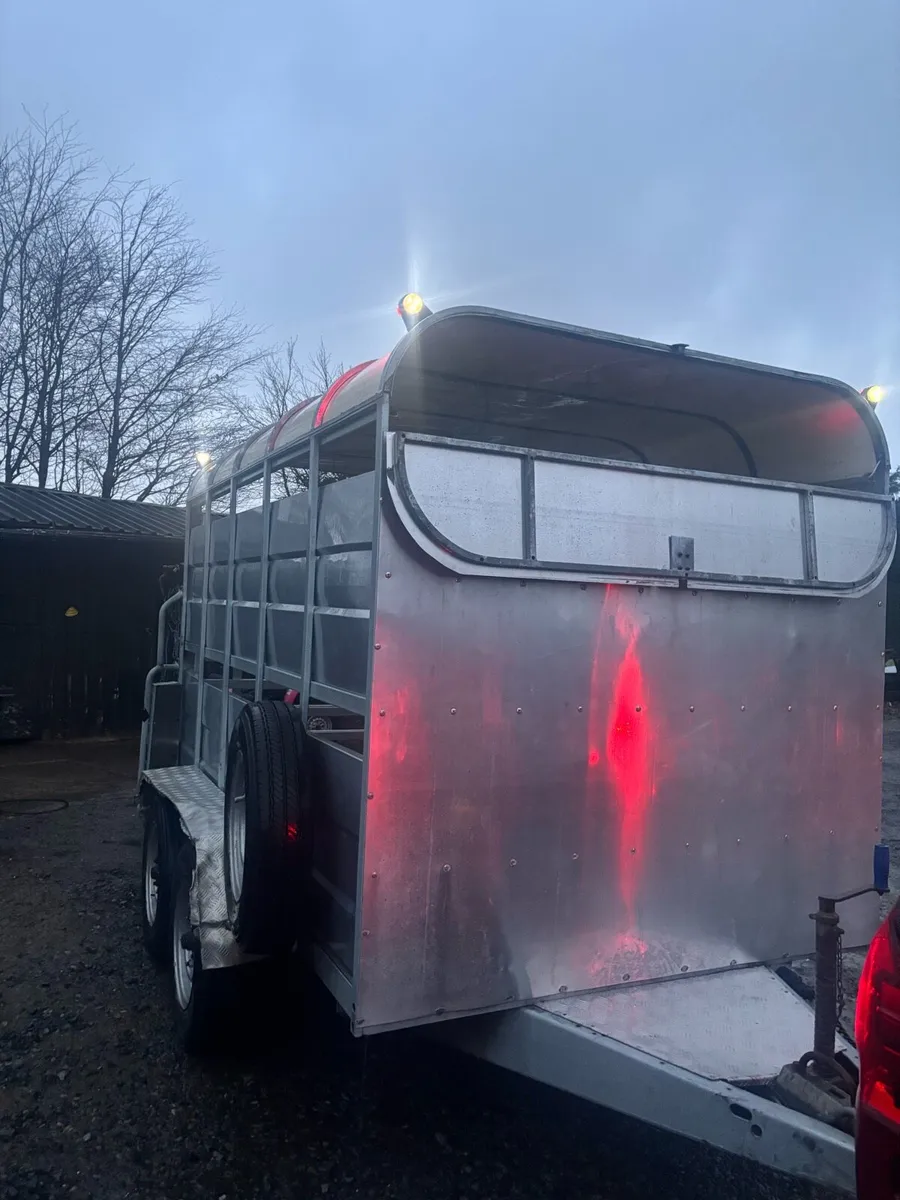 10 foot Dyna power cattle trailer - Image 2