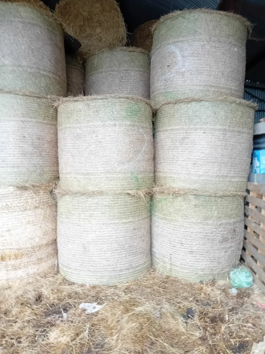 Bedding and Feed . - Image 1