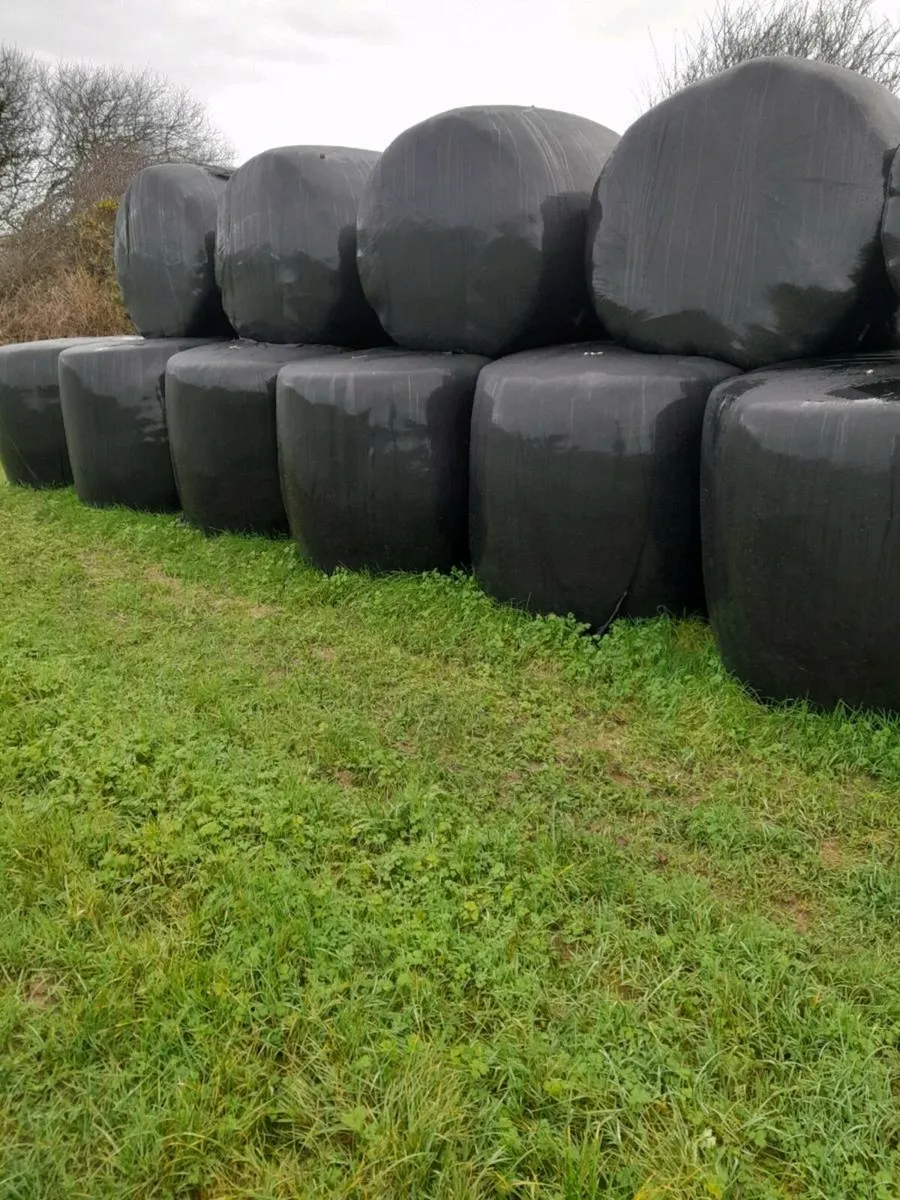 Silage