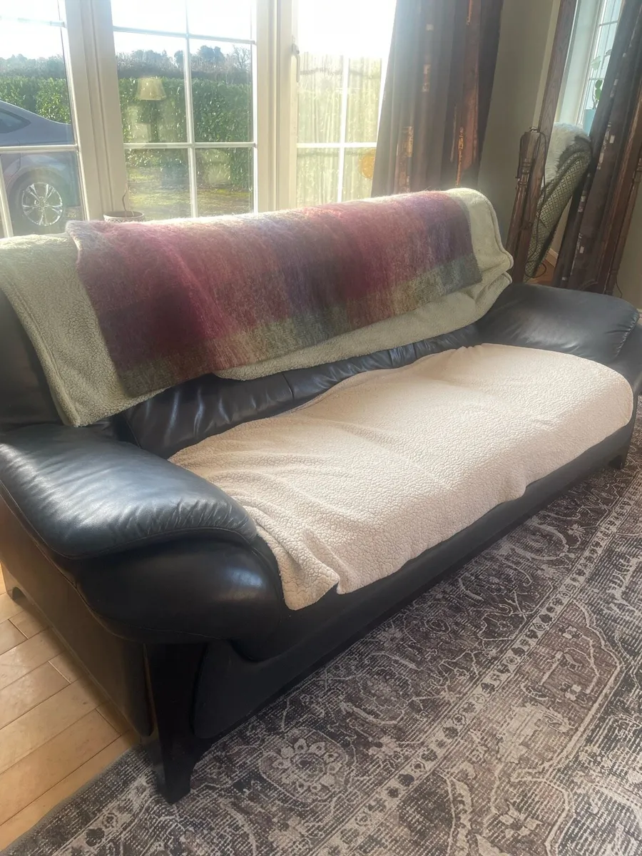 Leather 3 Seater - Image 2