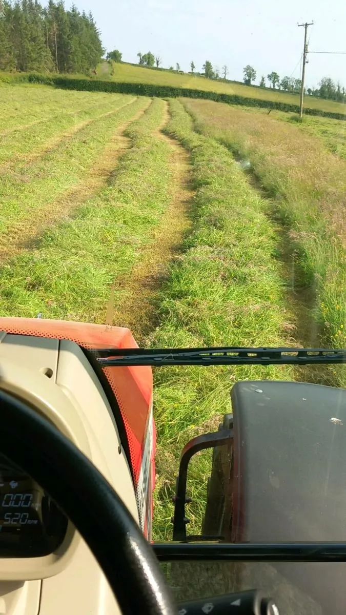 Silage Bales - Image 2