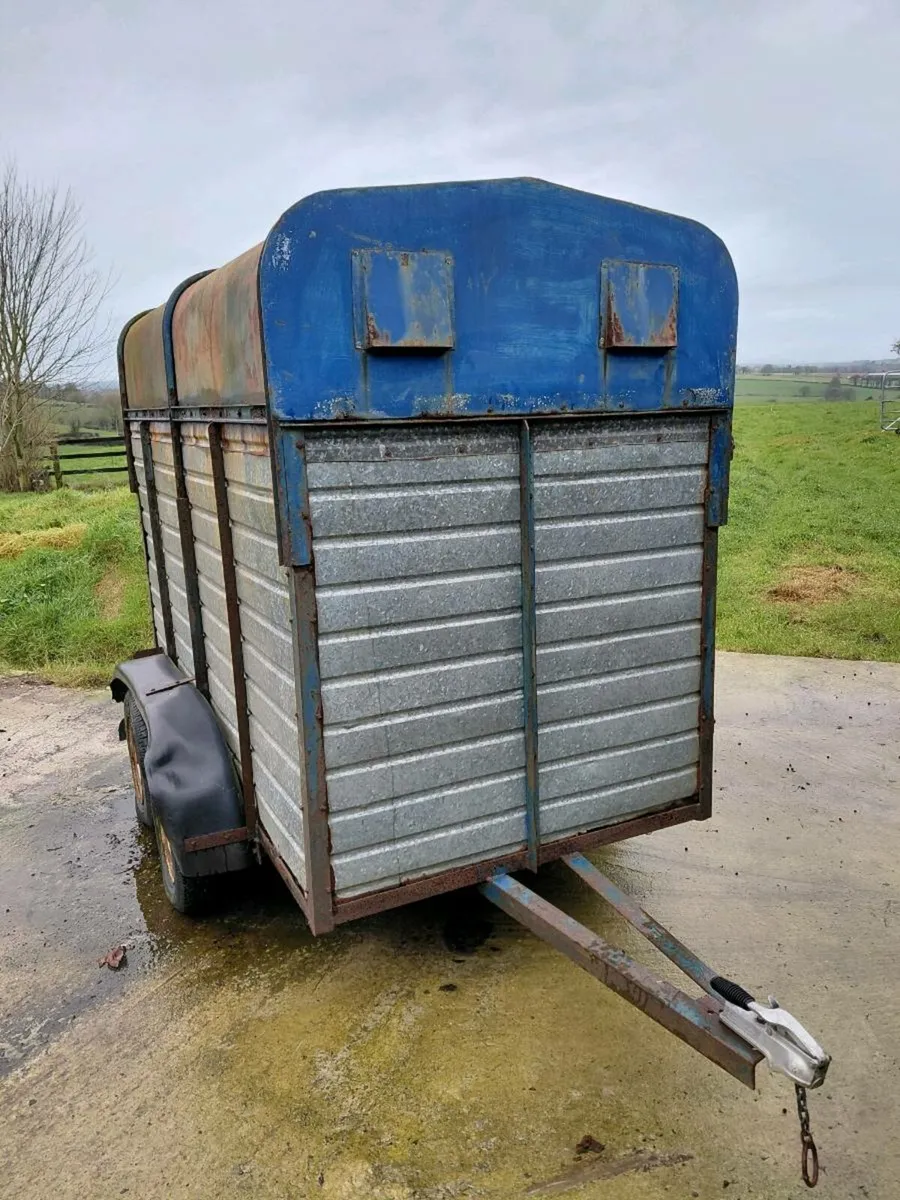 Livestock, Poney, Cattle, Sheep trailer twin axel - Image 1