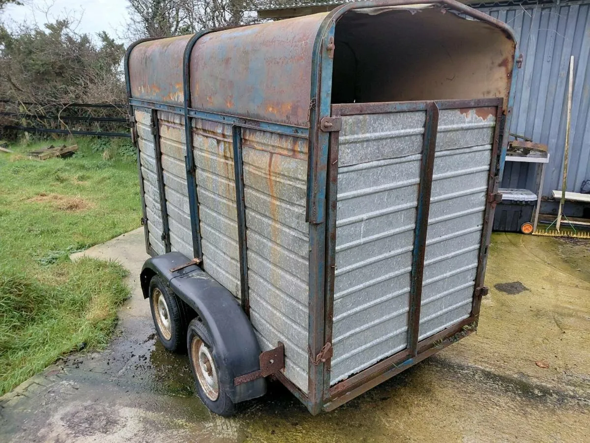 Livestock, Poney, Cattle, Sheep trailer twin axel - Image 2