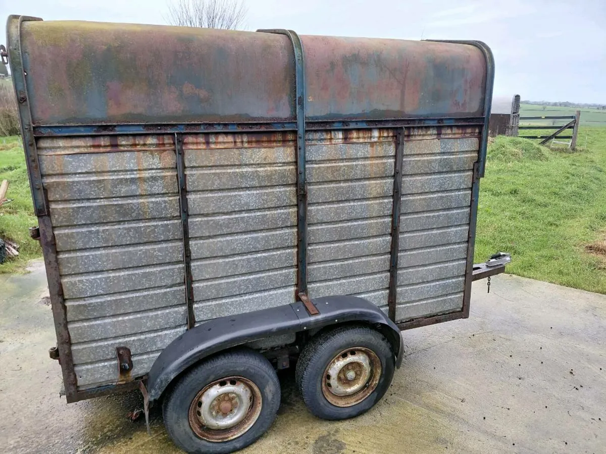 Livestock, Poney, Cattle, Sheep trailer twin axel - Image 3
