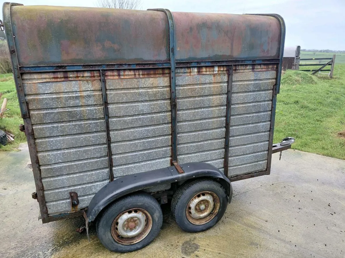 Livestock, Poney, Cattle, Sheep trailer twin axel - Image 4