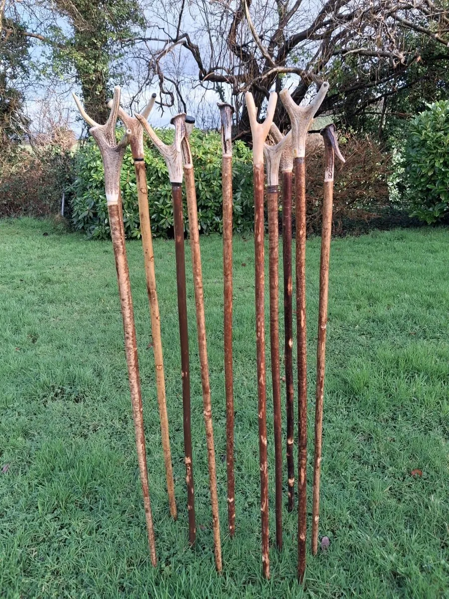 Hand crafted walking sticks for sale
